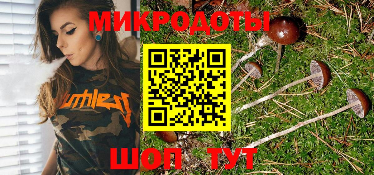 Подольск  Галлюциногенные грибы Psilocybine cubensis  Вход с VPN 